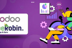 Odoo ERP Implementation And Customization for BeRobin BV, Netherlands